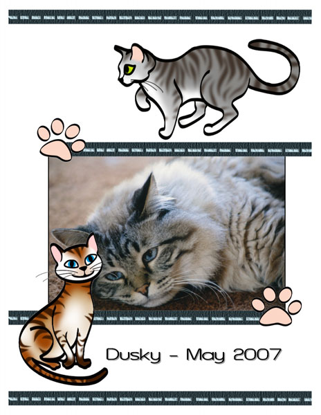Dusky2007